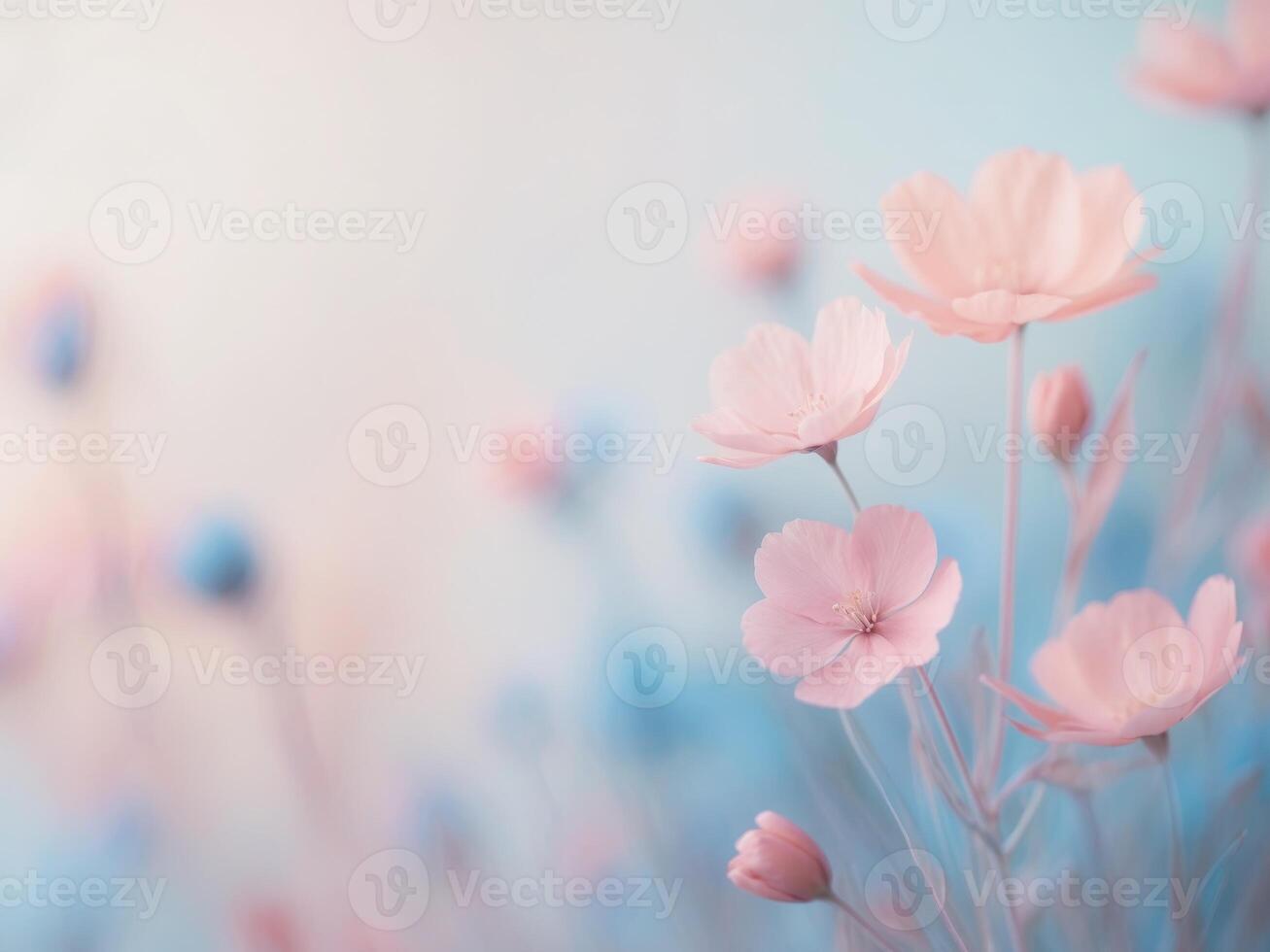 Beautiful Pastel Flower Background in Pink and Blue for Creative Design ProjectsBeautiful Pastel Flower Background in Pink and Blue for Creative Design Projects. photo