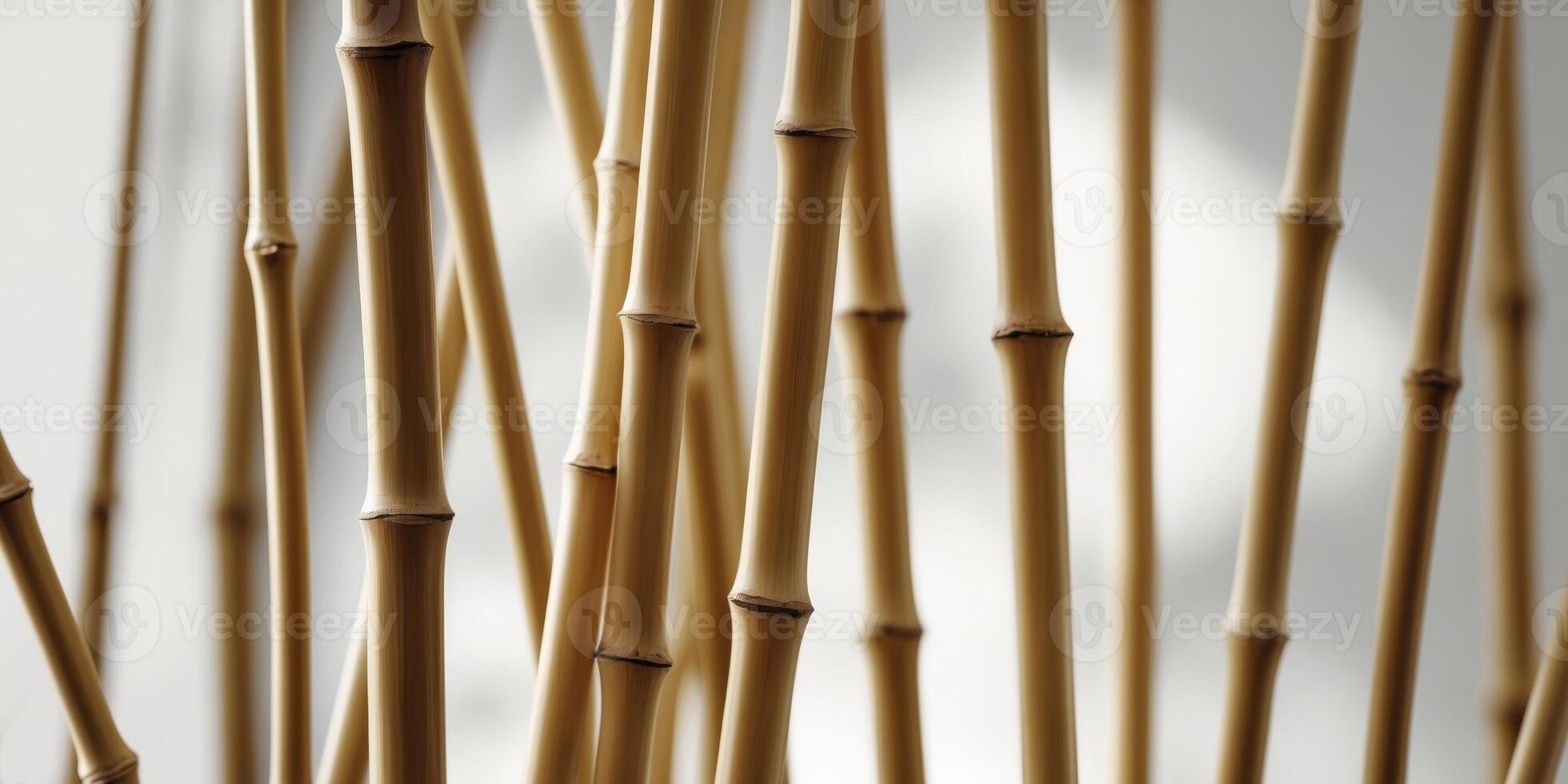 Closeup of Smooth Golden Bamboo Poles TextureCloseup of Smooth Golden Bamboo Poles Texture. photo