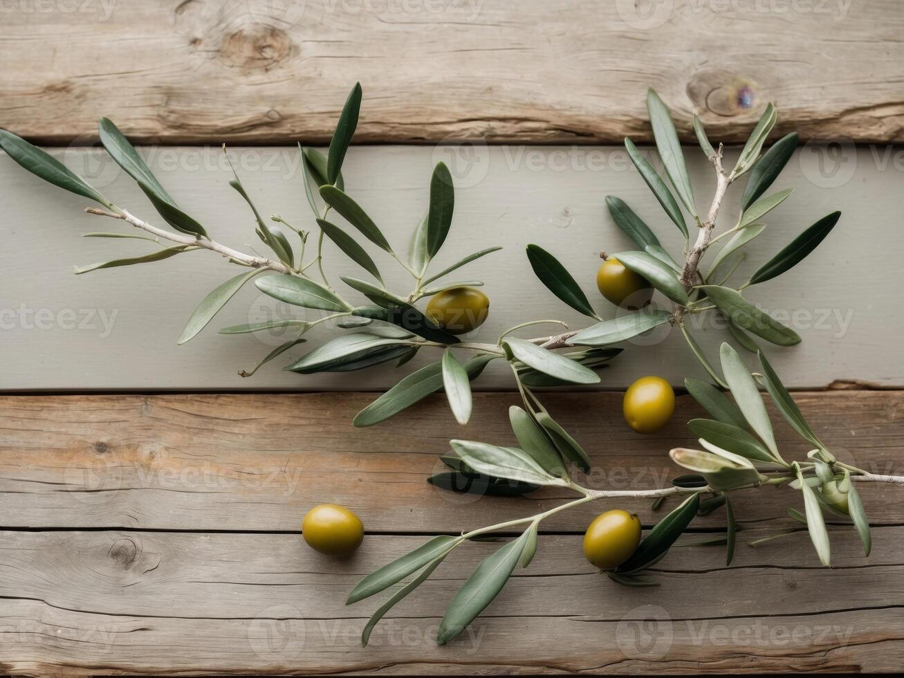 Olive Branches with Fruit Resting on Wooden PlanksOlive Branches with Fruit Resting on Wooden Planks. photo