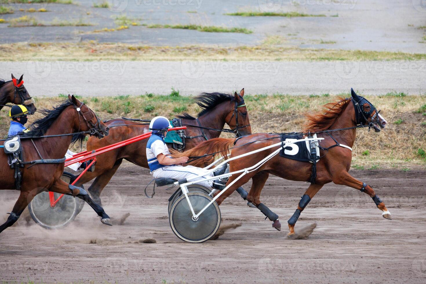 A beautiful run of graceful horses harnessed to chariots. photo
