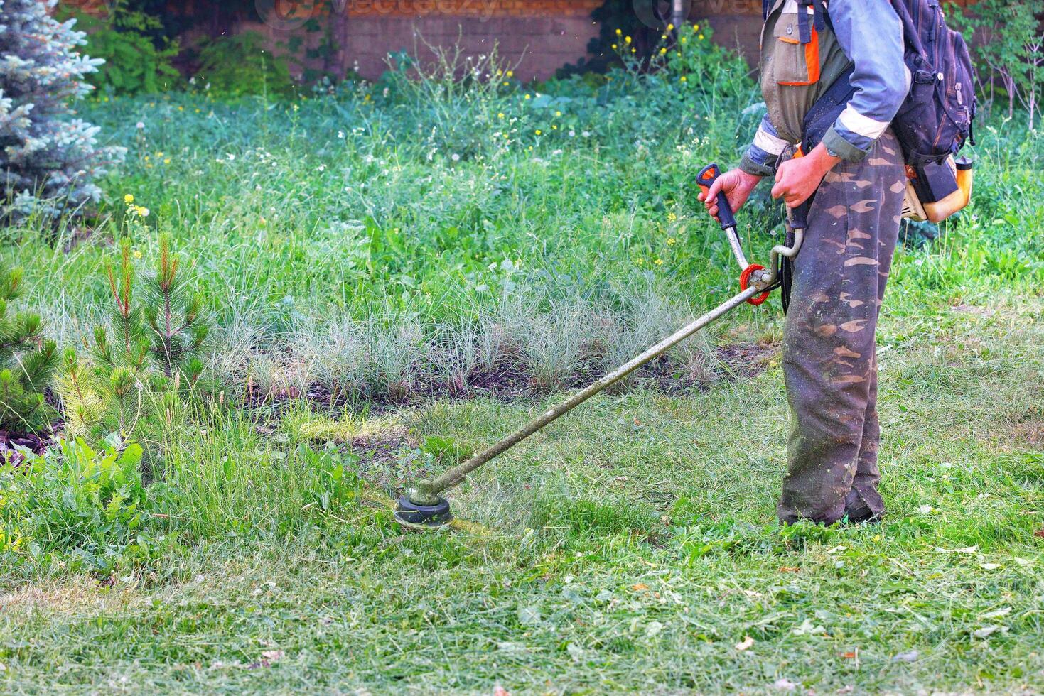 A gardener mows a green lawn with a petrol trimmer on a summer day. photo