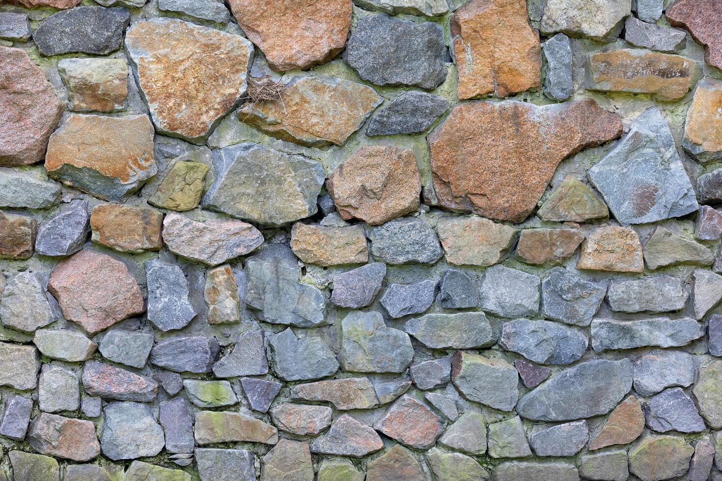 In the texture of an old wall made of large cobblestones, a small bird made a nest. Background, texture. photo