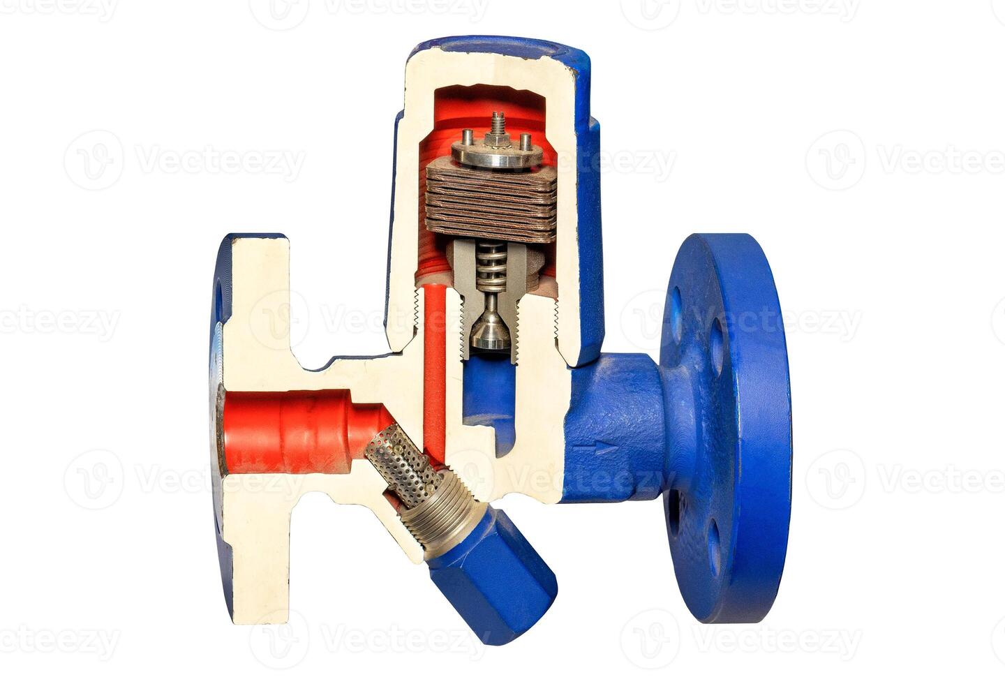 Bimetallic condensate trap for removing condensate cooled by 10 - 30 C from the boiling point. Isolated on white. photo