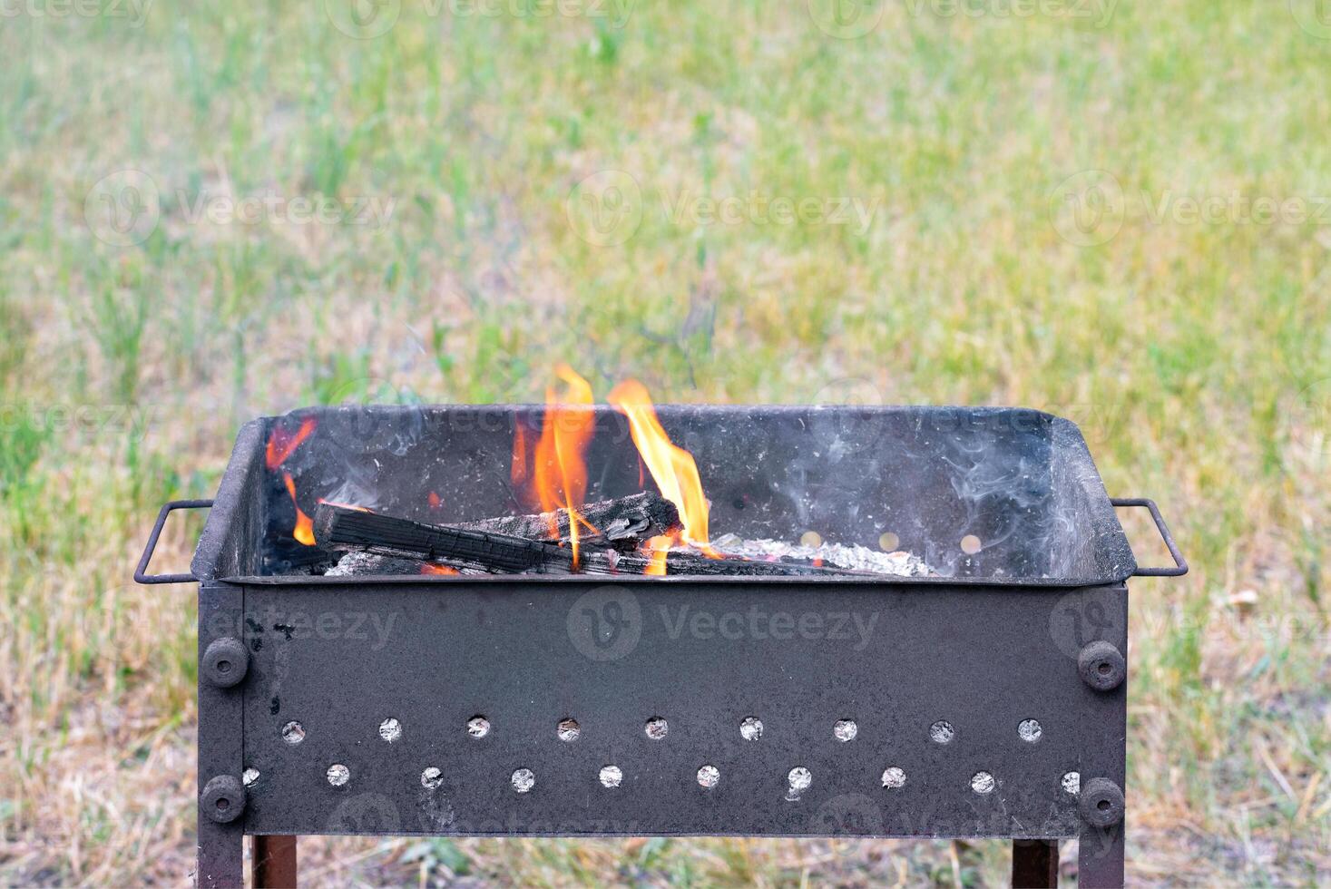 Burning wood in the flames of a fire in a metal barbecue on a blurred background of a green lawn. photo