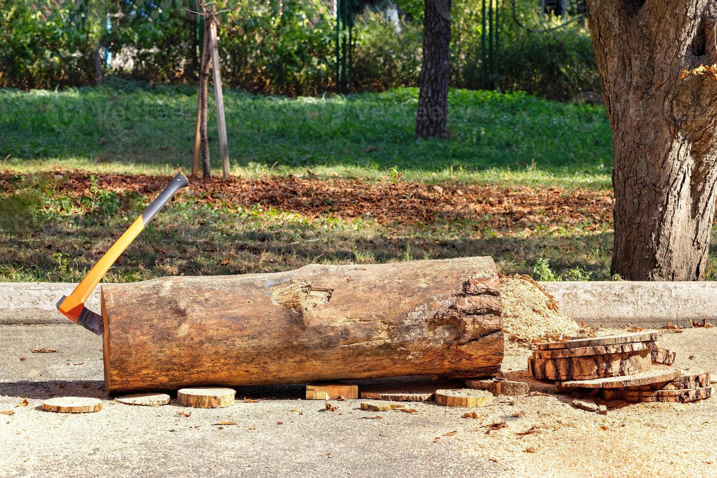 An axe embedded in a log beside freshly cut wood in a sunny outdoor setting. Copy space. photo