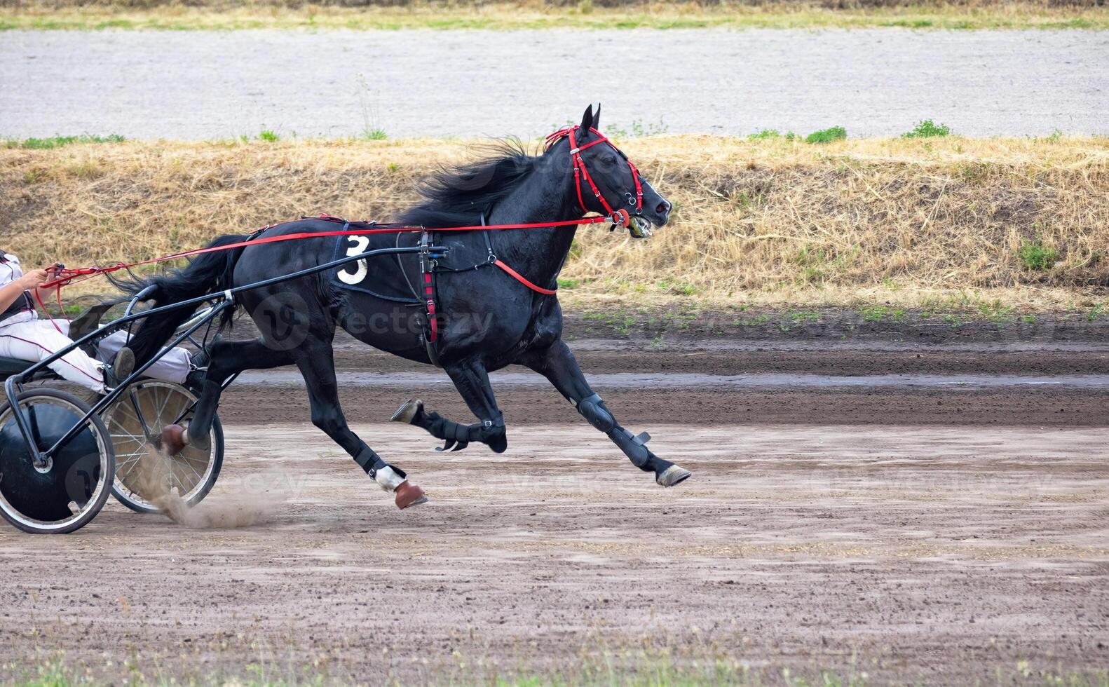 Racing thrills at the harness track on a sunny day in the countryside photo