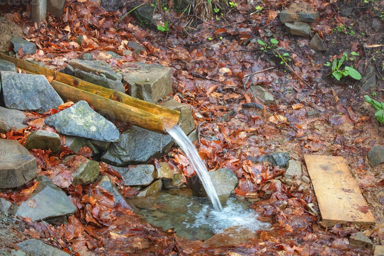 Water flows gently from a rustic wooden trough into a serene stone pool surrounded by autumn leaves photo