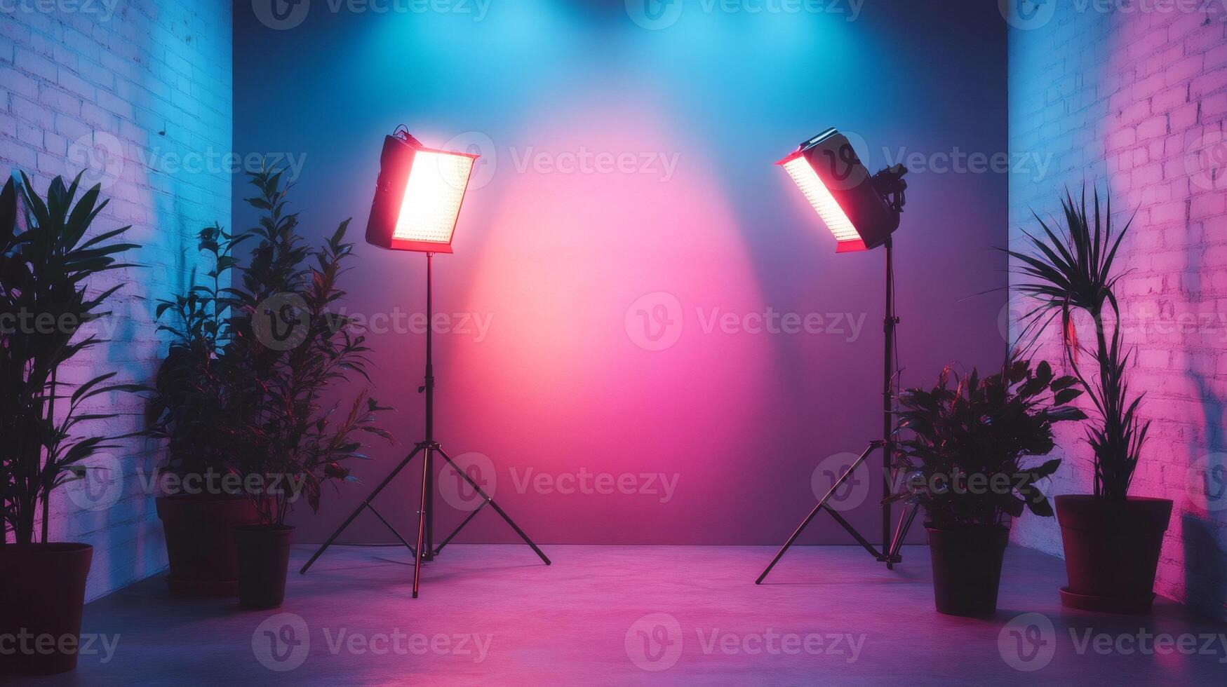 Professional led lighting equipment illuminating empty photo studio with trendy plants