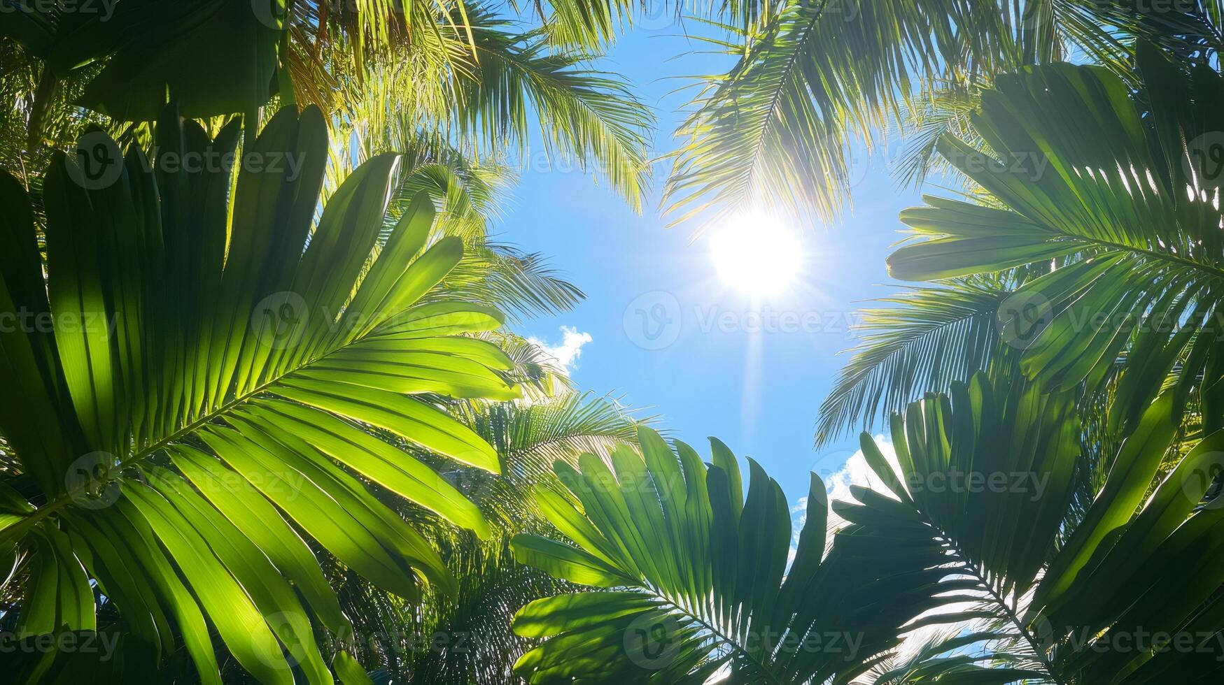 Bright tropical sun shining through palm trees on clear day photo