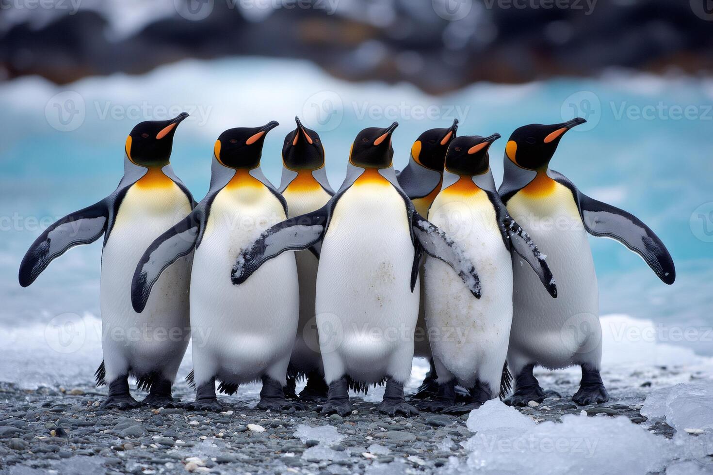 King penguins standing together on shore with ocean in background photo