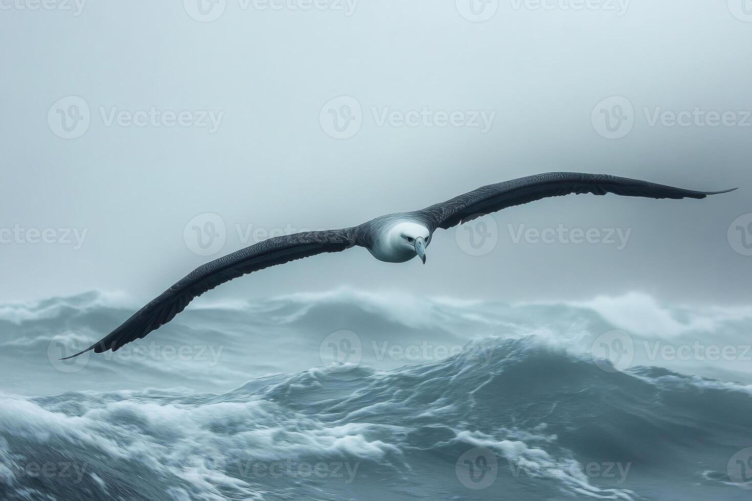 Majestic wandering albatross gliding over stormy ocean waves photo