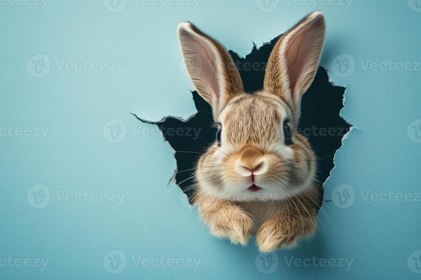 Cute easter bunny peeking through hole in light blue wall photo