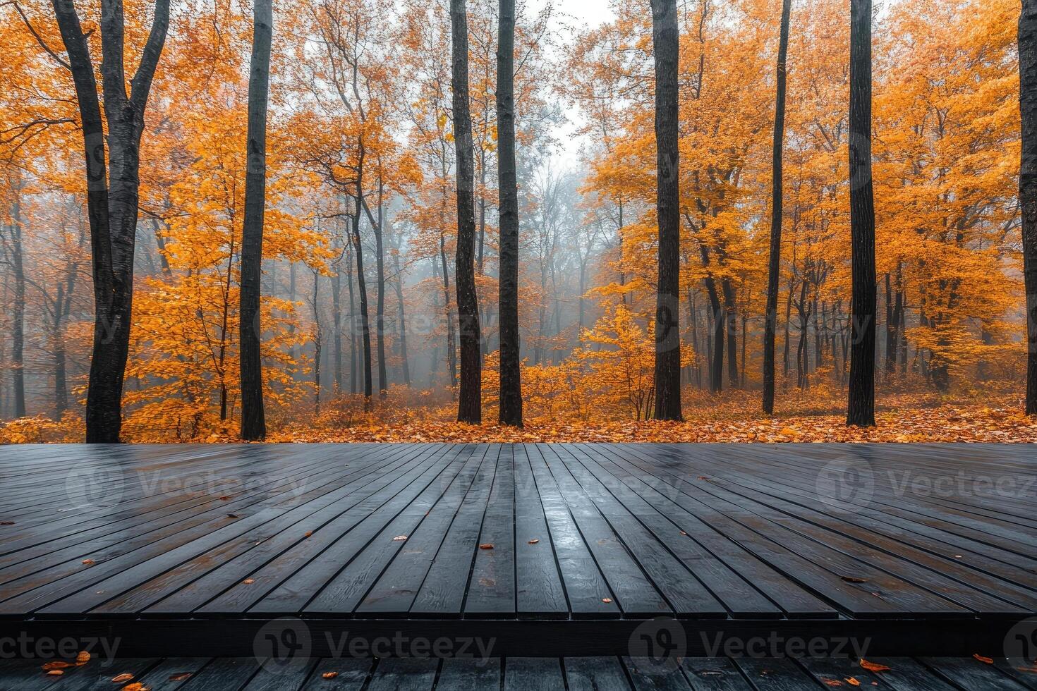Empty wooden table showing misty autumn forest landscape. photo