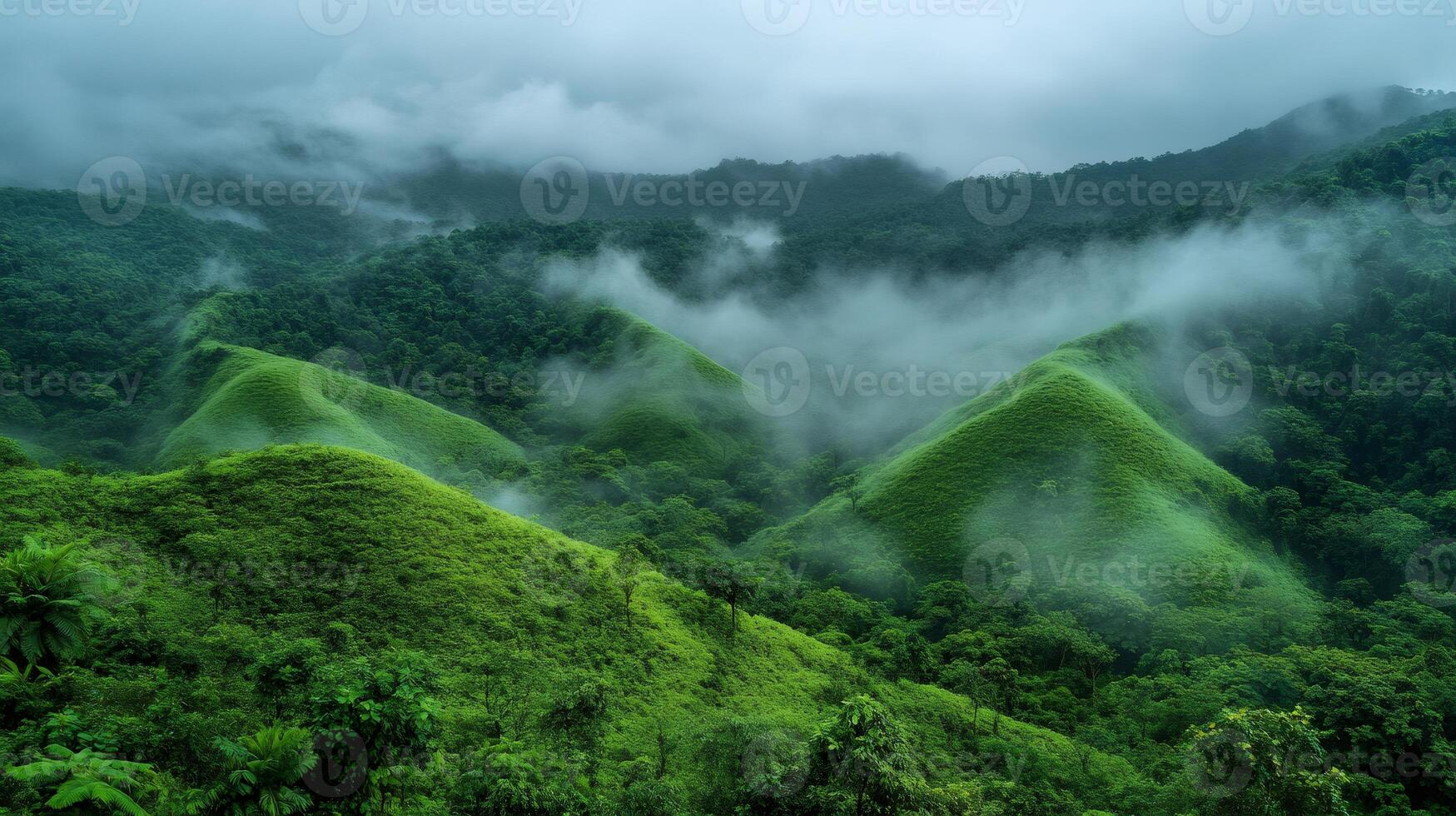 Low clouds covering lush green rolling hills in tropical rainforest photo