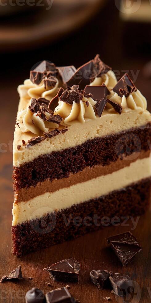 Delicious chocolate layer cake with creamy frosting and chocolate shavings photo
