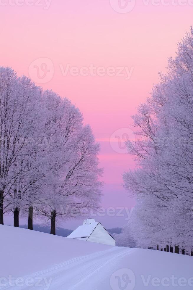 Winter landscape with frosted trees and a tranquil house at dusk photo