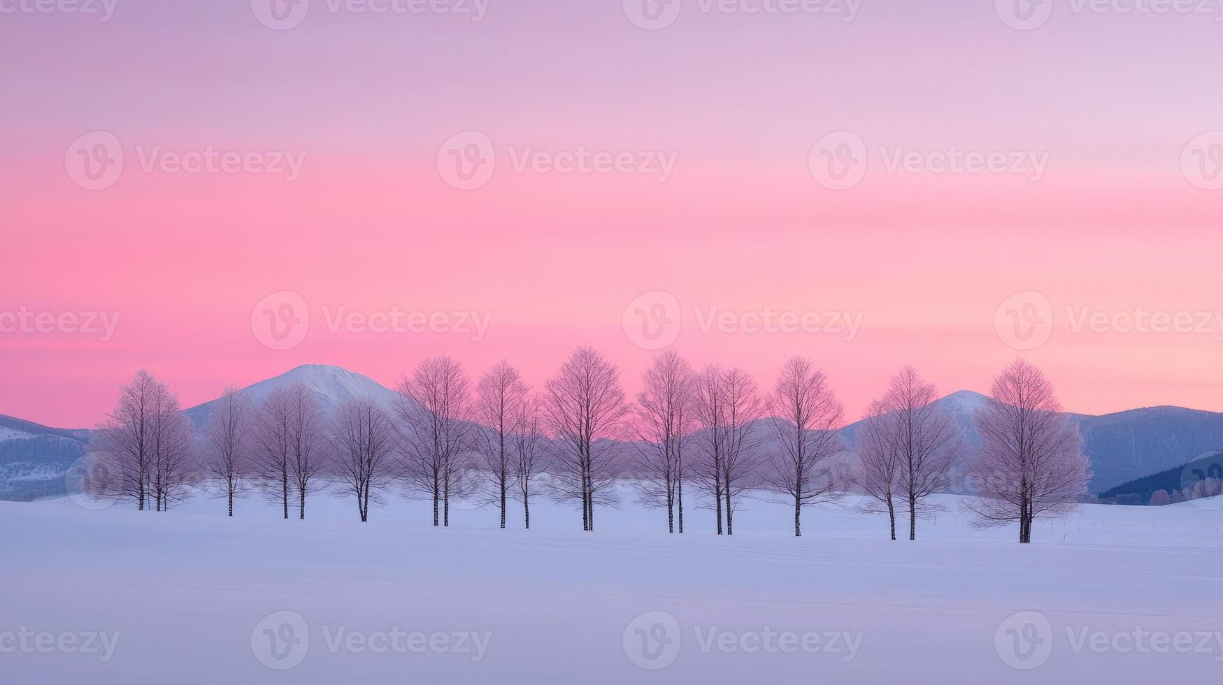 Winter landscape with snow-covered trees and colorful sky at sunset photo