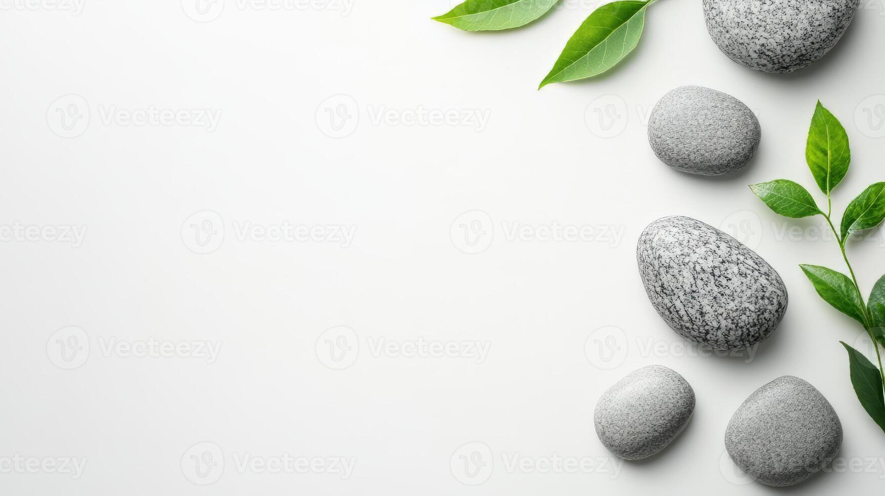 Peaceful Natural Scenery with Rocks and Green Leaves for Relaxation and Meditation photo