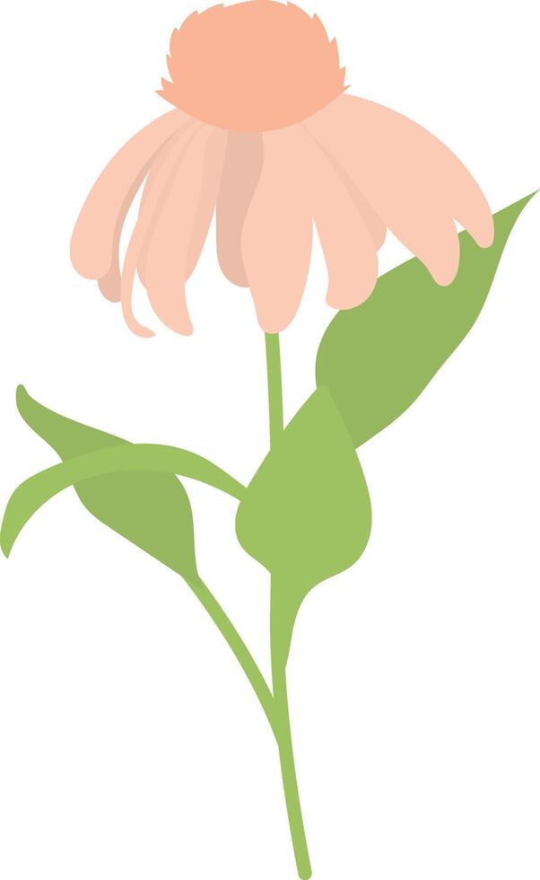 Summer Flower in Flat Design vector