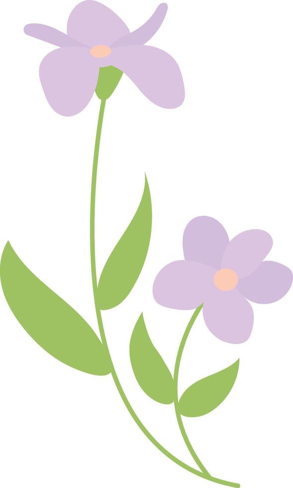 Summer Flower Illustration vector