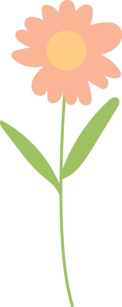 spring flowers with pink color vector