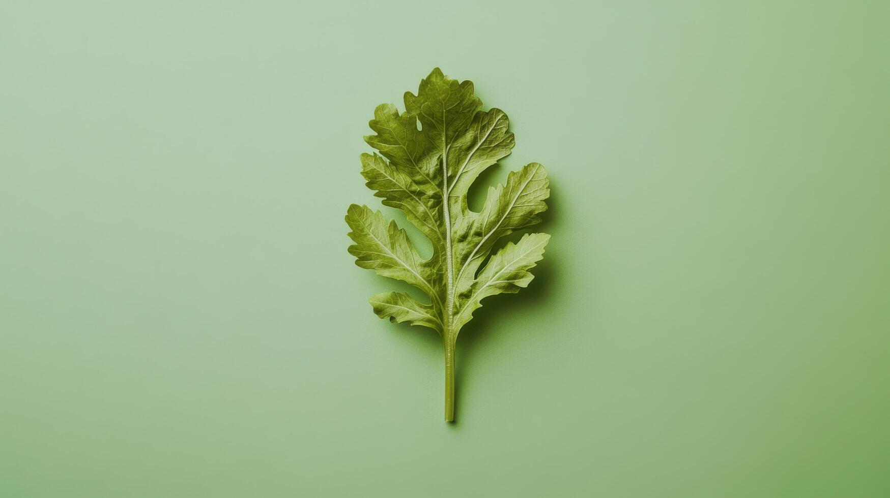 Fresh green leaf of cilantro resting on a pale green background highlighting its texture and color photo