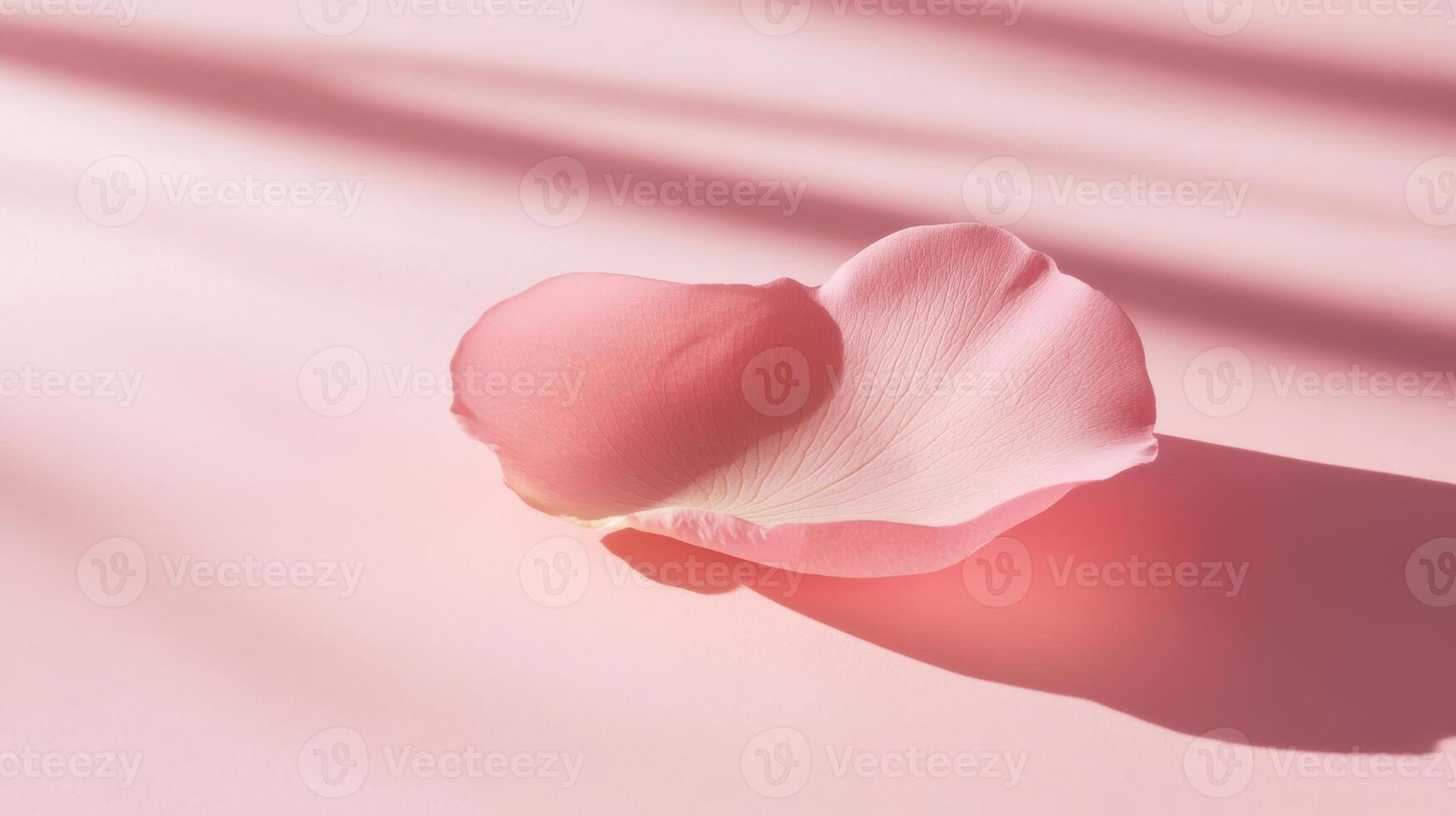 Soft pink rose petals resting on a delicate surface with gentle shadows creating a serene atmosphere photo