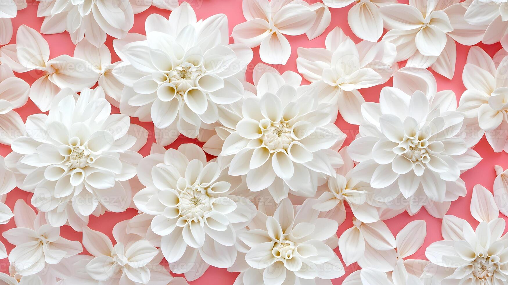 Delicate White Flowers on Soft Pink Background for Elegant Designs photo