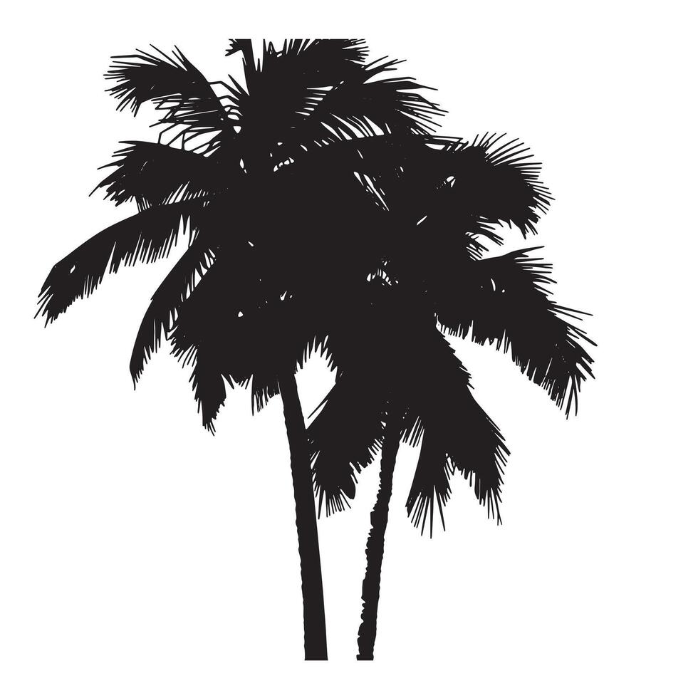 Palm Tree Silhouette on White Background vector