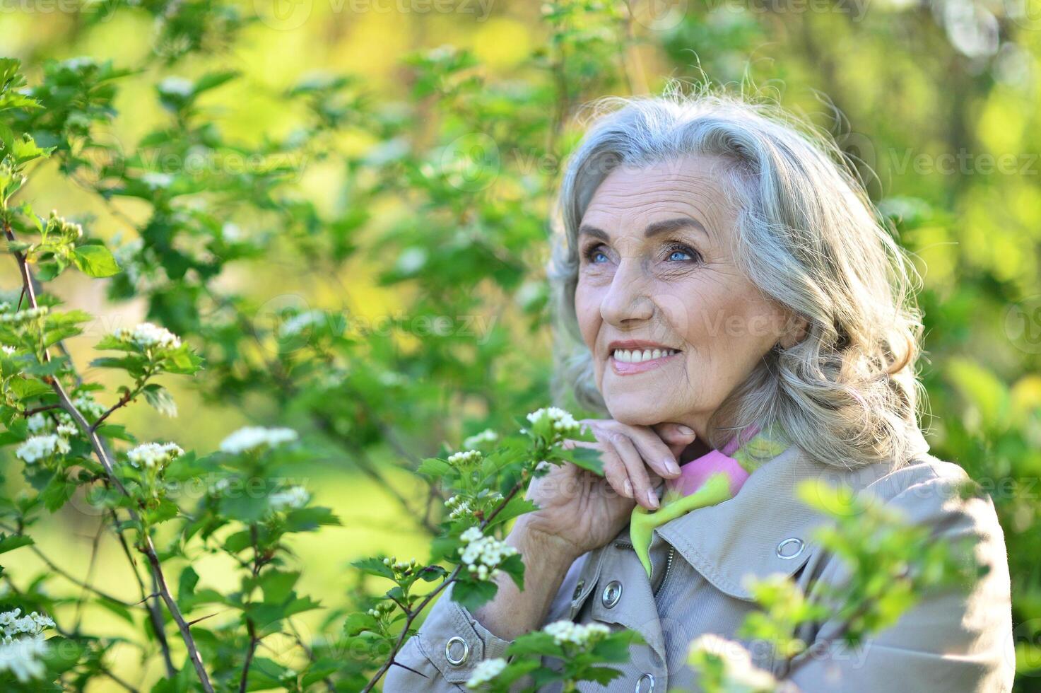 Portrait of a beautiful woman in the park in summer photo