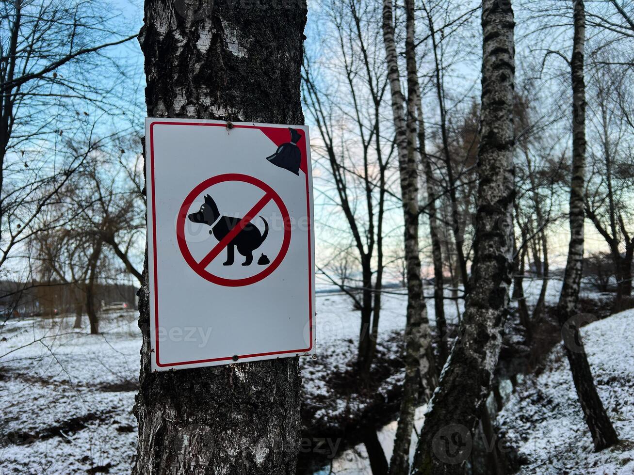 No dog fouling sign attached to a tree in a winter forest setting photo