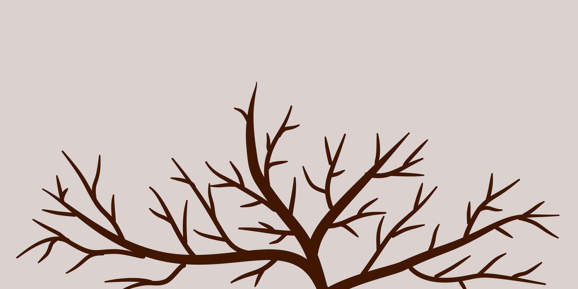 Autumn branches of dried trees. Dry branches rustic plants silhouette abstract. vector