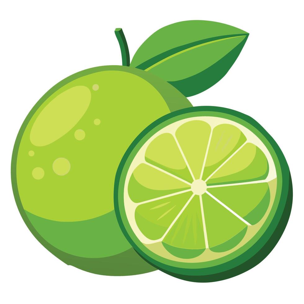 Close-up of limes against white background vector