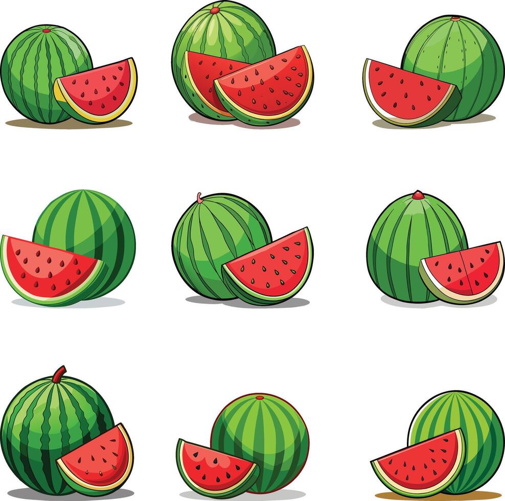 Watermelon whole, half and slice. cartoon set of summer fruits illustration isolated vector