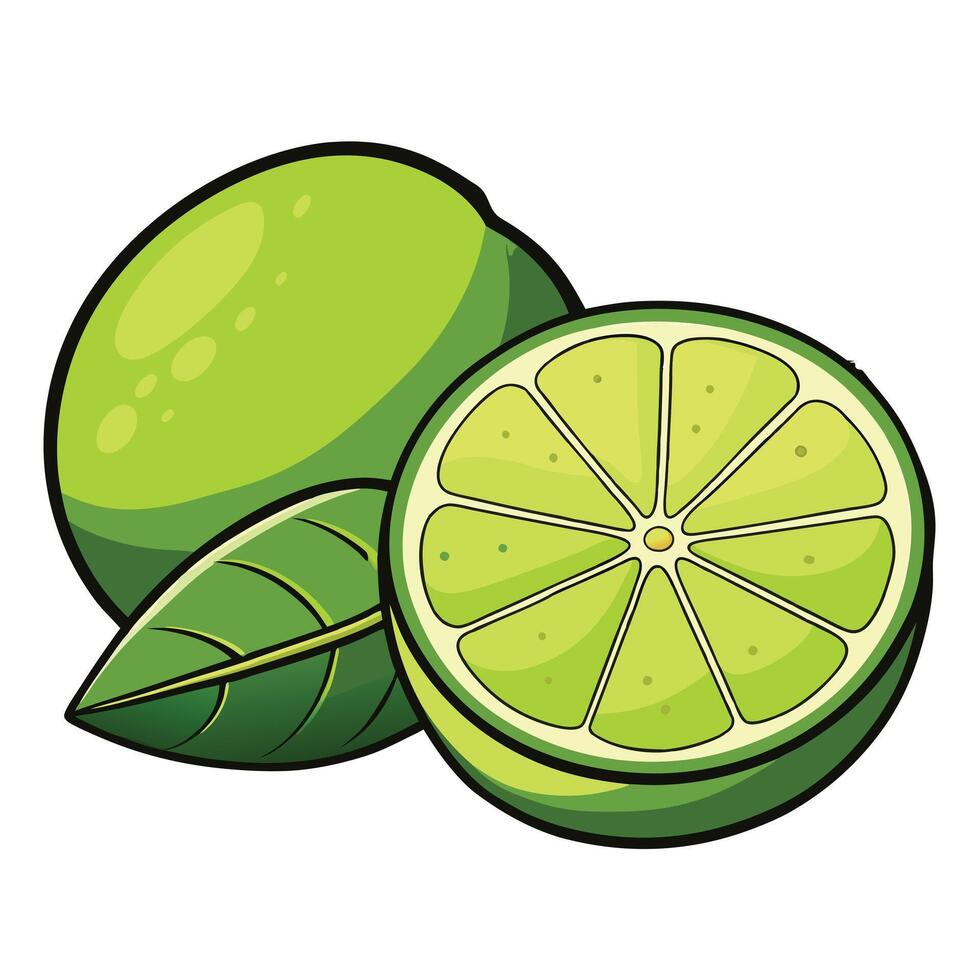 Top view limes on table big limes next to branches vector