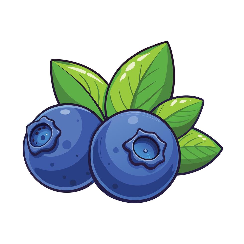 Blue berry illustration vector