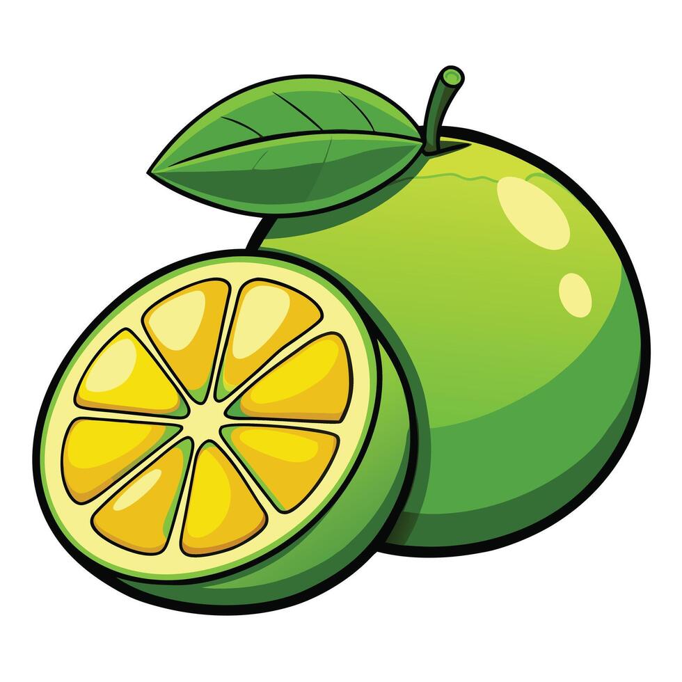 Lime fruit illustration vector