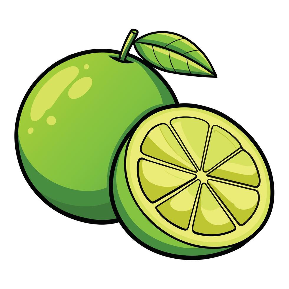 Lime halves and gooseberry berries on black background. Close up. Natural protection against colds. vector