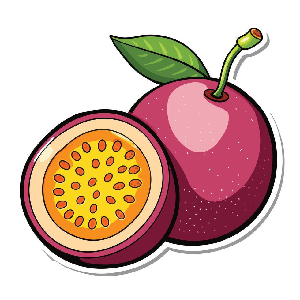 Illustration of a passion fruit isolated on a white background vector