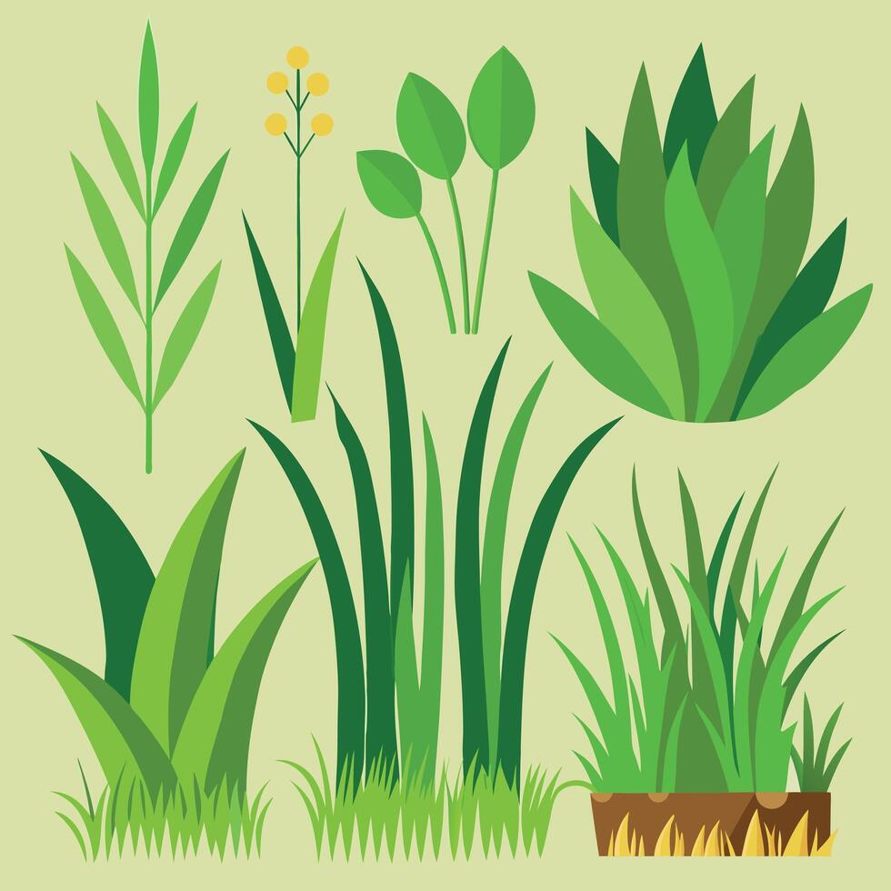 Realistic grass banner template collection vector