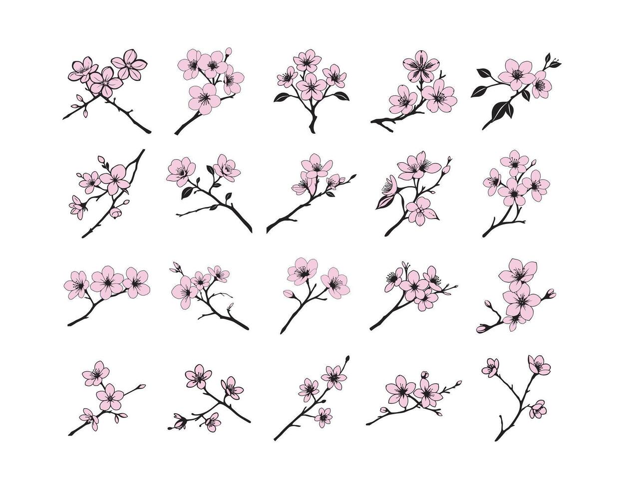 Beautiful pink blossoms arranged in various styles showing nature's delicate artistry and floral diversity on a white background vector