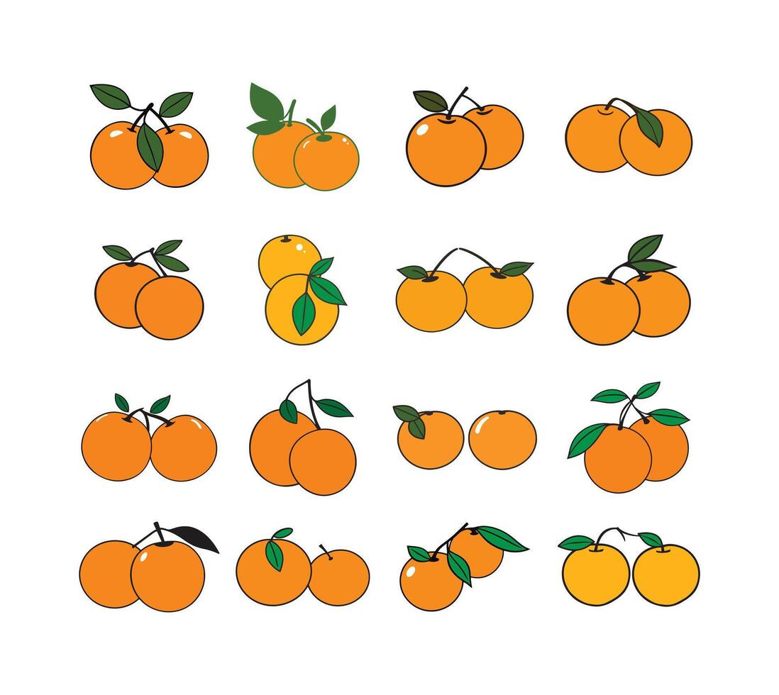 Set of 16 orange fruit illustrations. Perfect for adding a fresh, citrusy touch to your designs. Various styles included. vector