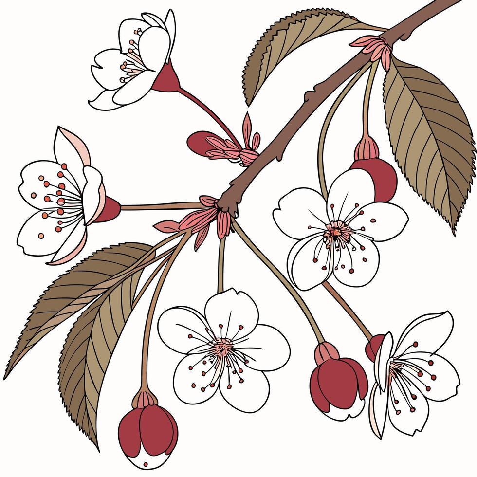 Summer Spring Blooming Flower Nature frame on Wooden Board vector