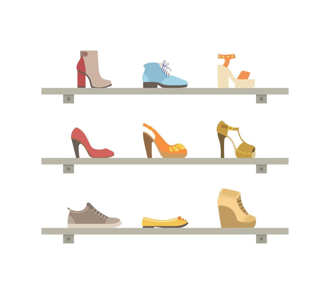 Female Fashionable Footwear on Shelves, Shoes Store Interior Illustration vector