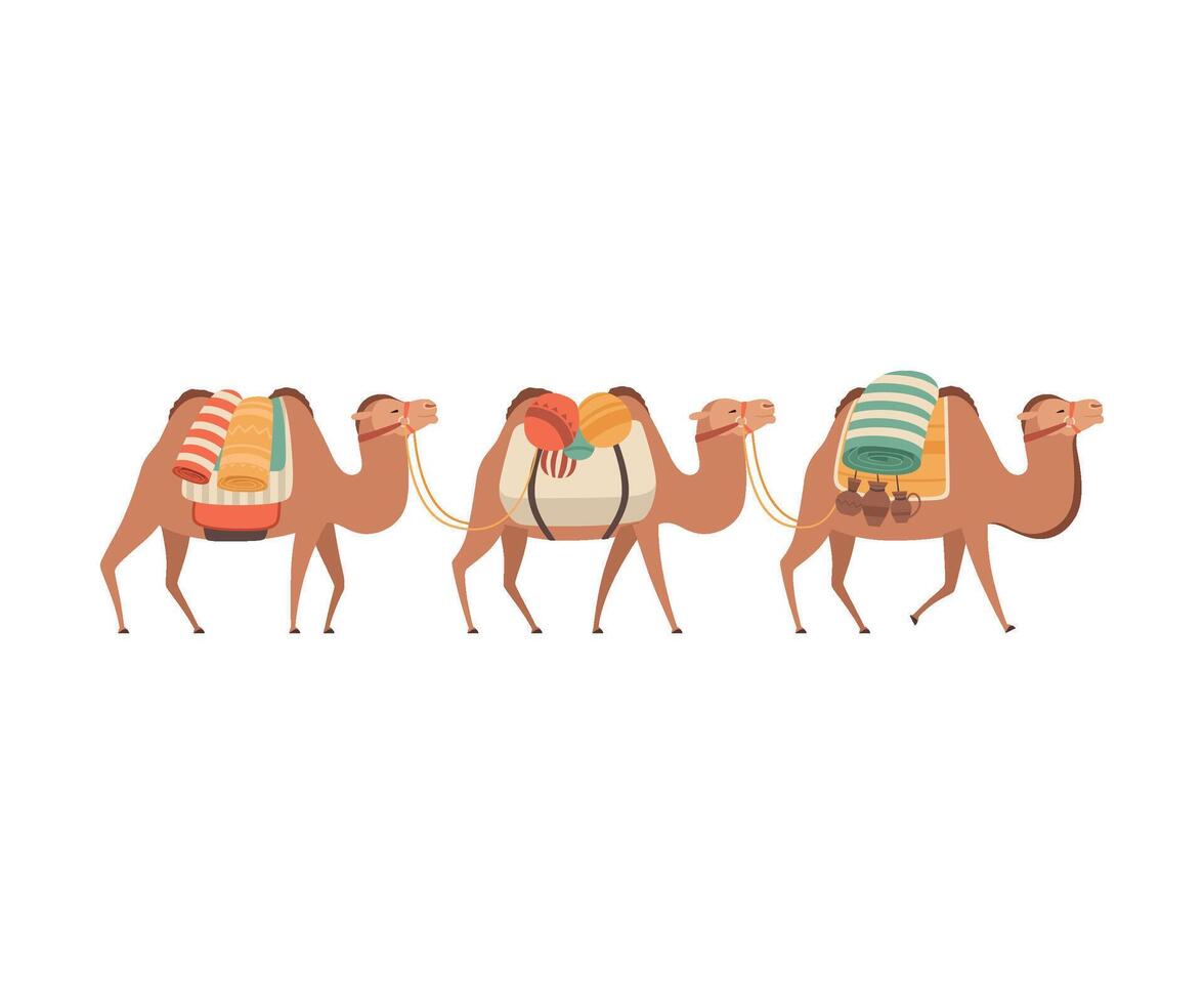 Caravan of Camels, Desert Animals Carrying Heavy Load, Side View Illustration vector
