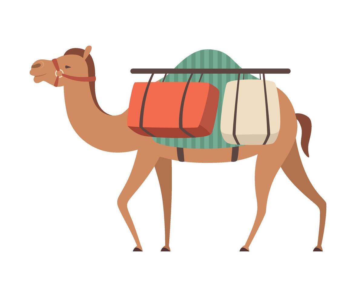 Camel Desert Animal Carrying Heavy Load, Side View Illustration vector