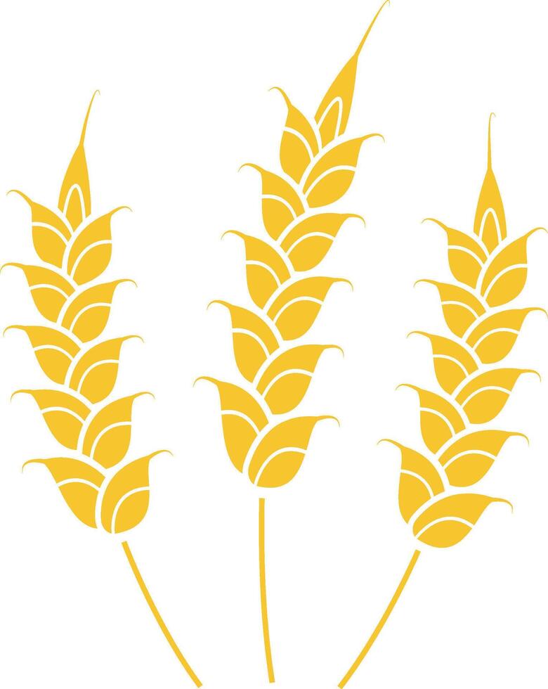 Three stylized wheat stalks growing together symbolize agriculture, healthy food, and the natural world, highlighting the importance of nutrition and organic farming practices vector