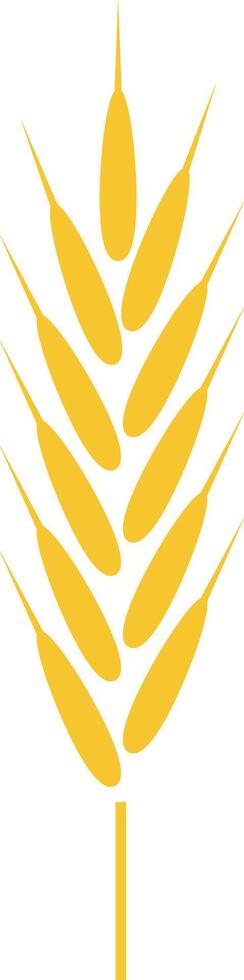 Stylized drawing of a ripe wheat stalk with grains ready for harvest, symbolizing agriculture, healthy eating, and the production of bread and pasta vector