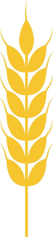Simple and elegant illustration of a golden wheat stalk, symbolizing agriculture, farming, food production, and the importance of grains in human diet vector
