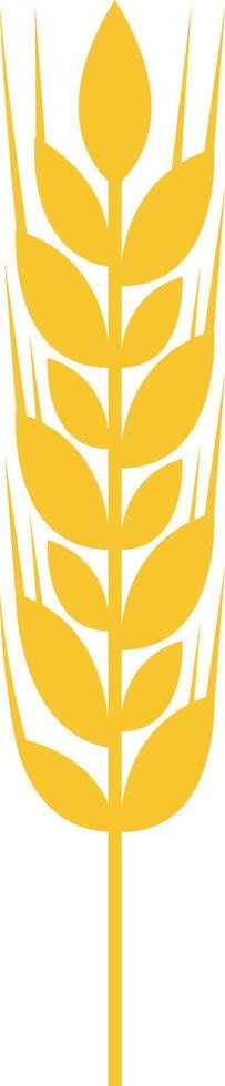 Stylized drawing of a ripe wheat stalk, representing the essence of agriculture and farming while highlighting healthy eating and the essential production of bread and pasta vector